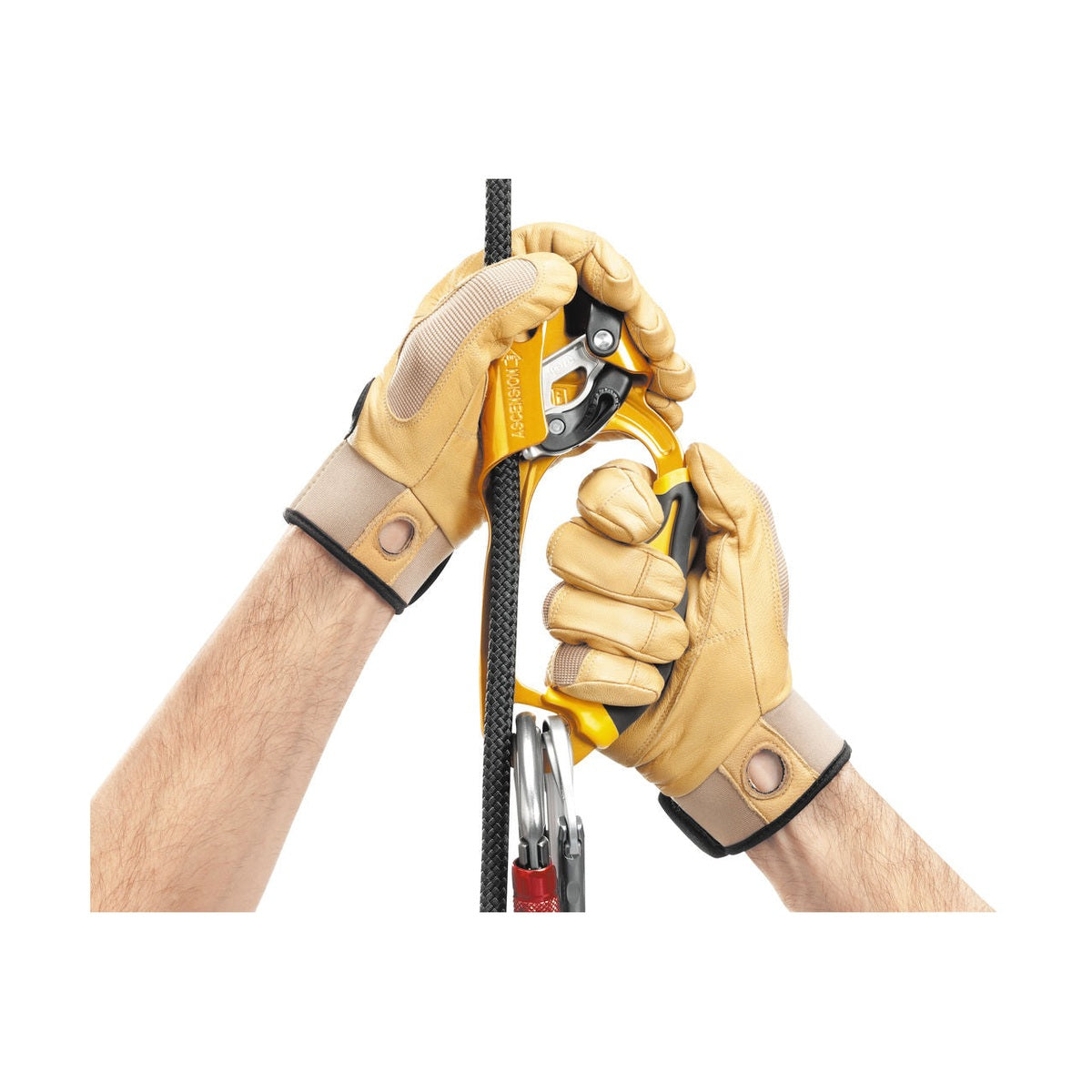 Petzl Ascension Right Hand Ascender
