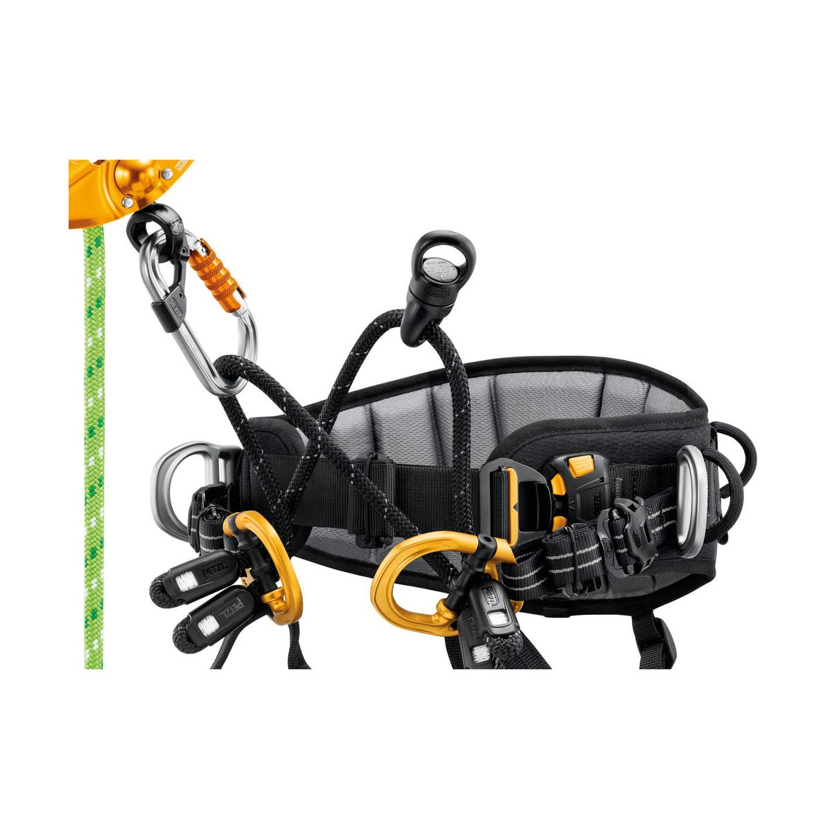 Petzl Sequoia Arborist Harness