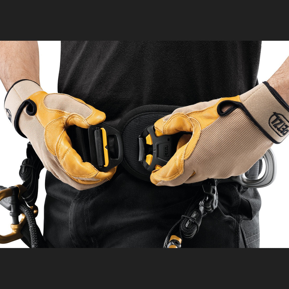 Petzl Sequoia Arborist Harness