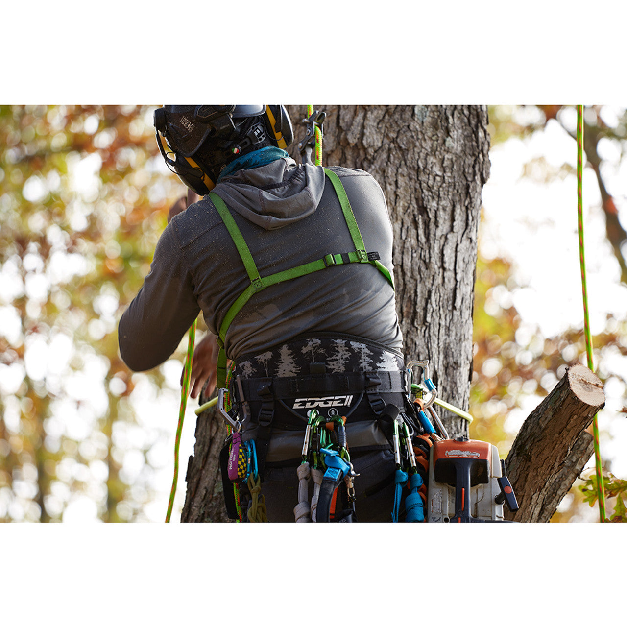 Sherrilltree EDGE II Arborist Harness