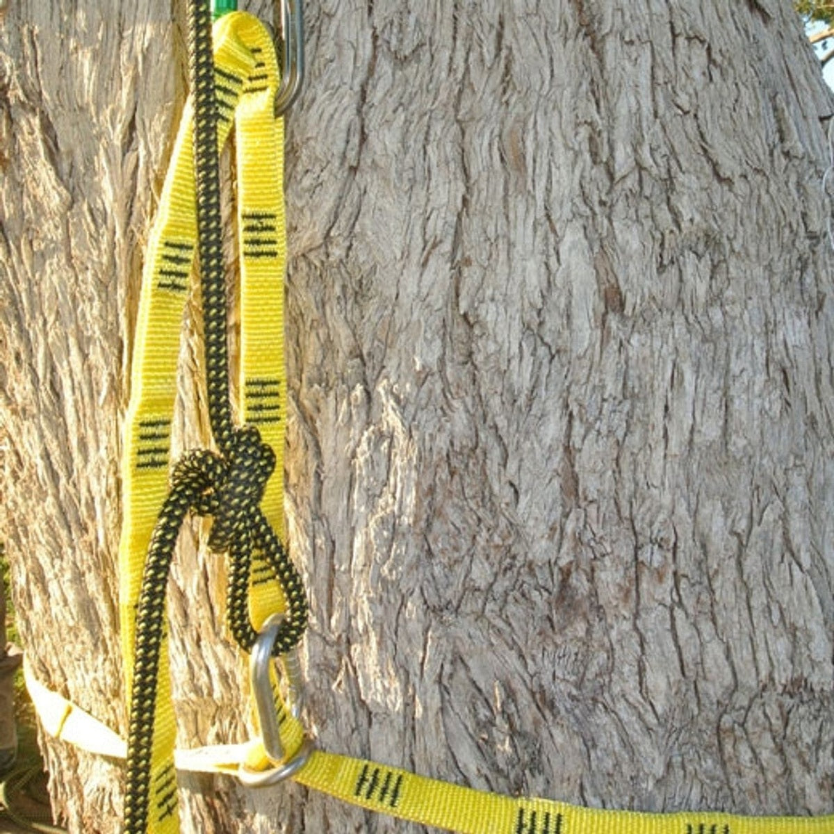 CMI Arborist Base Anchor Sling