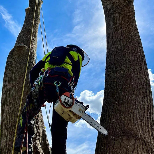 Reecoil V2 Standard Chainsaw Lanyard