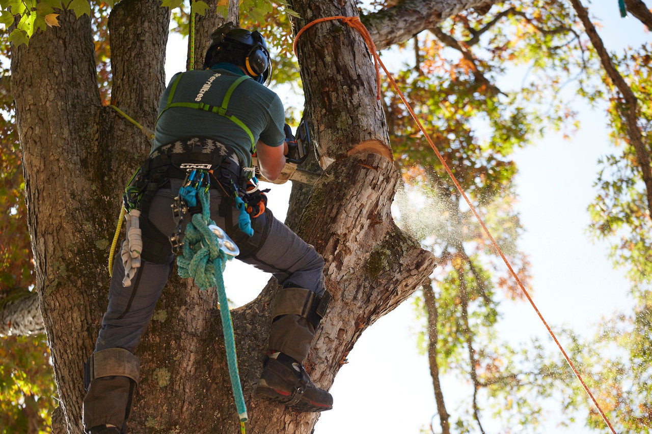 Sherrilltree EDGE II Arborist Harness