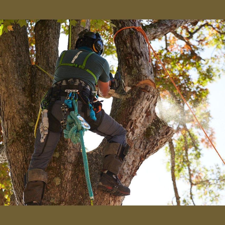 Sherrilltree EDGE II Arborist Harness