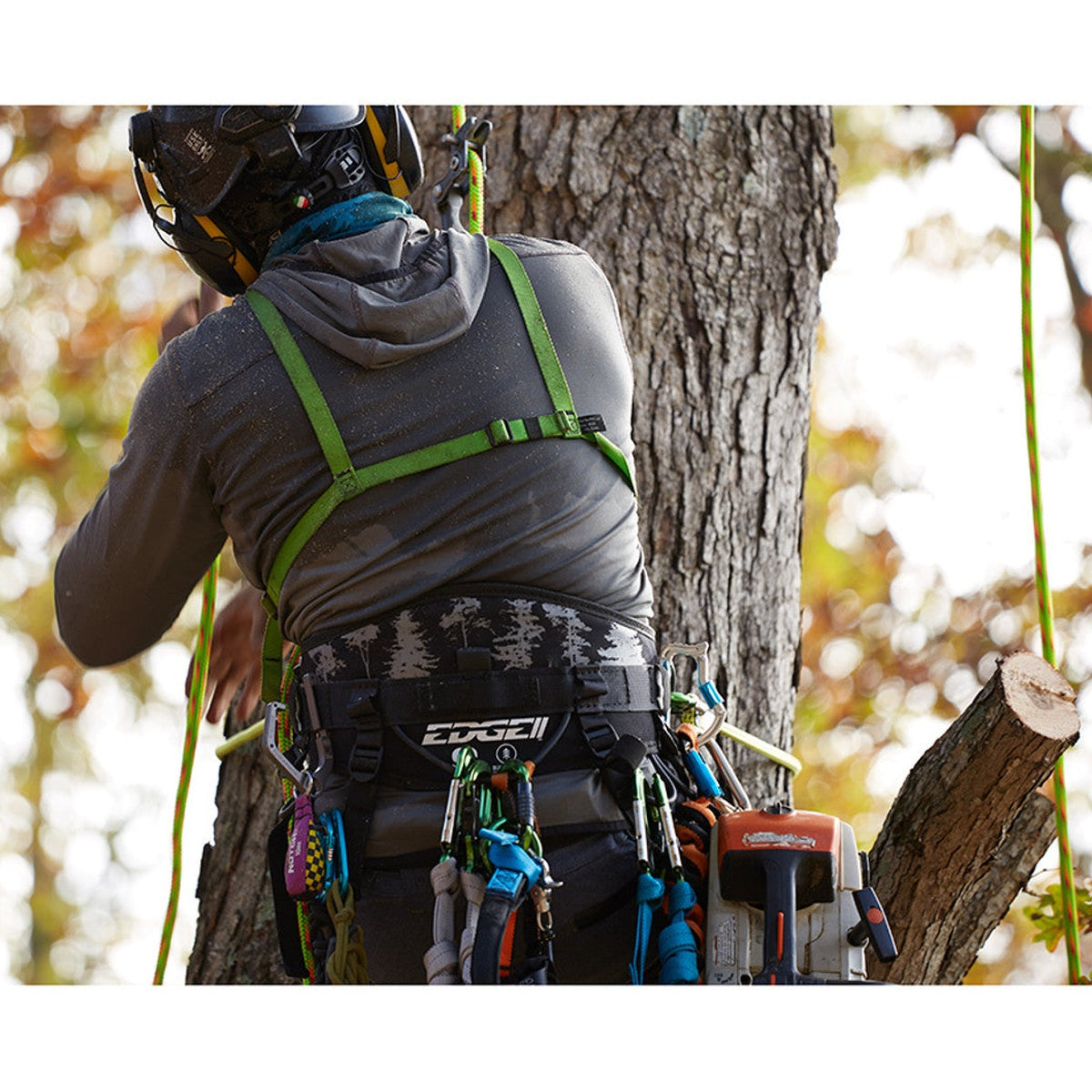 Sherrilltree EDGE II Arborist Harness